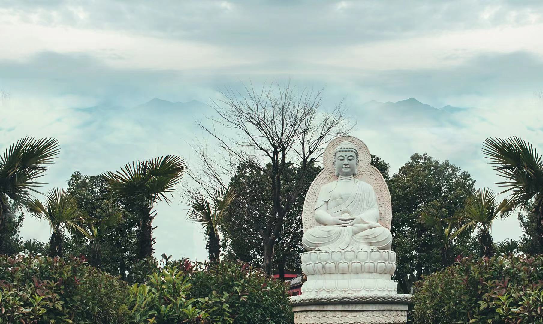 安葬时墓地旁有树好不好